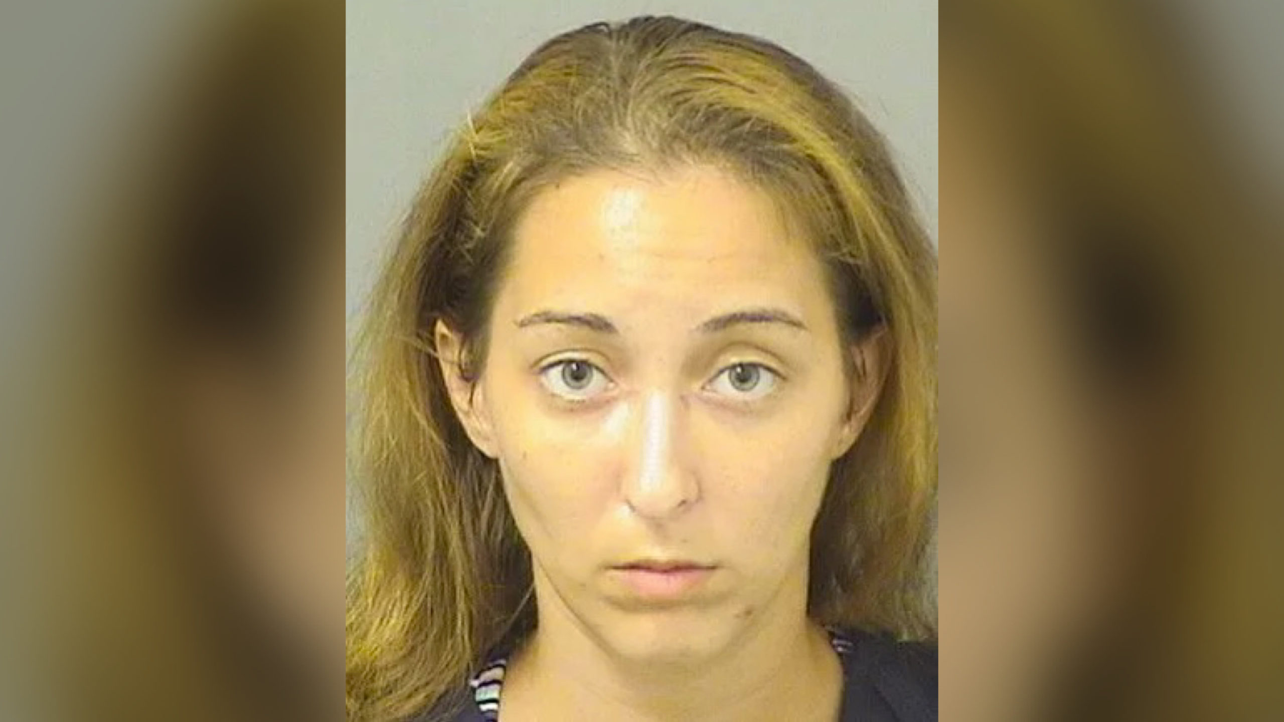 White Woman Facing Child Abuse Charges After Slapping Black Child At Florida Amusement Park