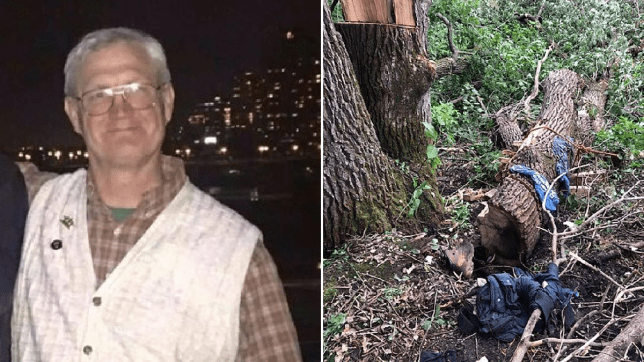 Minnesota Man Rescued After Being Trapped Under Tree For 4 Days, Survived On Insects & Rainwater