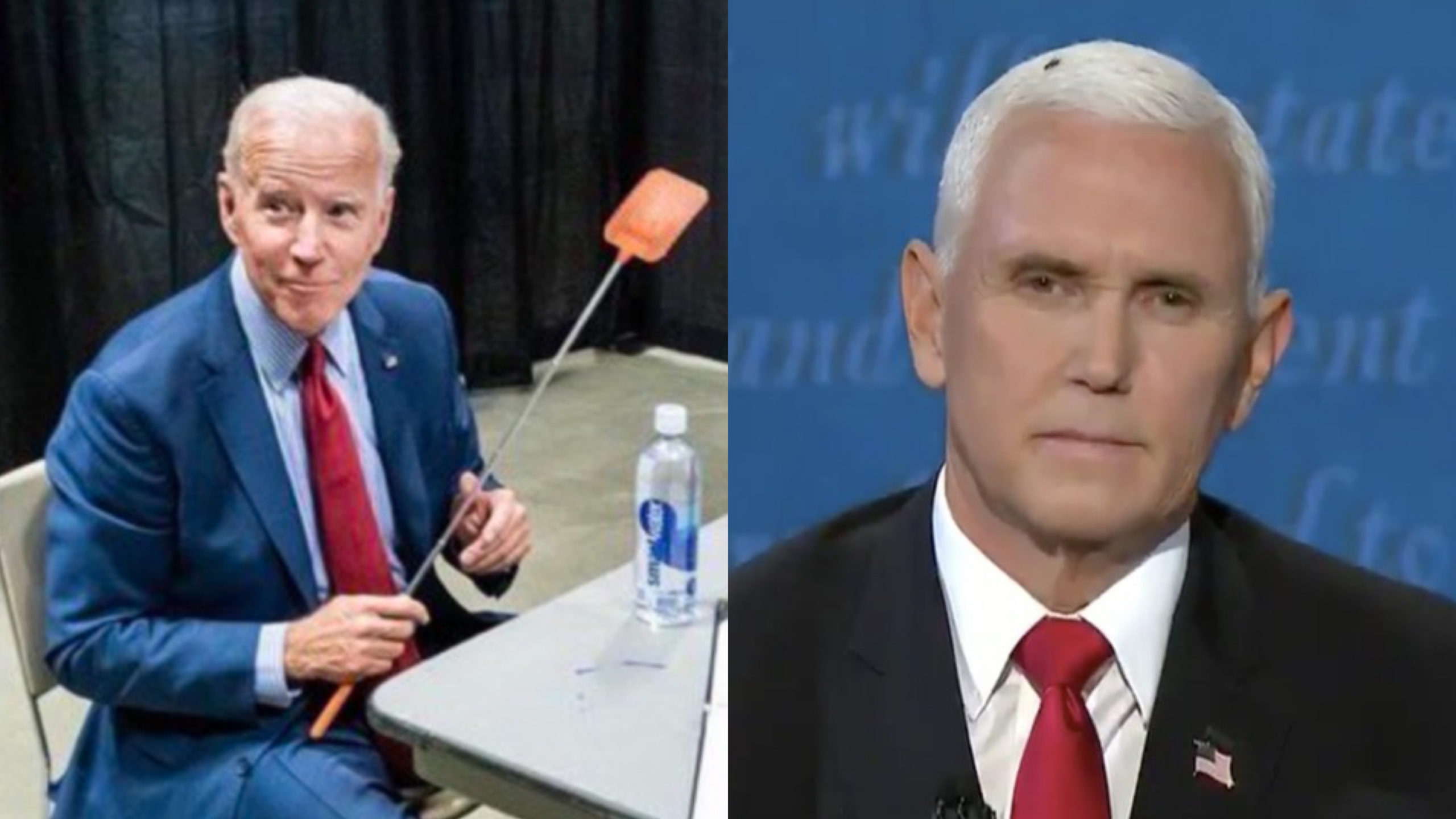 Biden Campaign Sells Out Of Truth Over Flies Fly Swatters Two Hours After Vice Presidential Debate