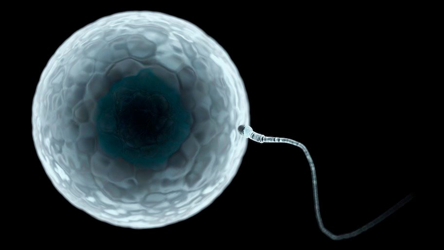 Scientists Want To Send 335 Million Sperm Samples To The Moon To Prevent Human Extinction