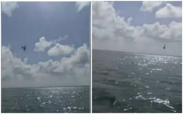 Two Killed After Plane Used For Gender Reveal Crashes In Mexico ...