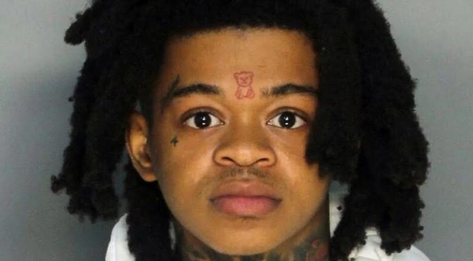 beatbox spotemgottem