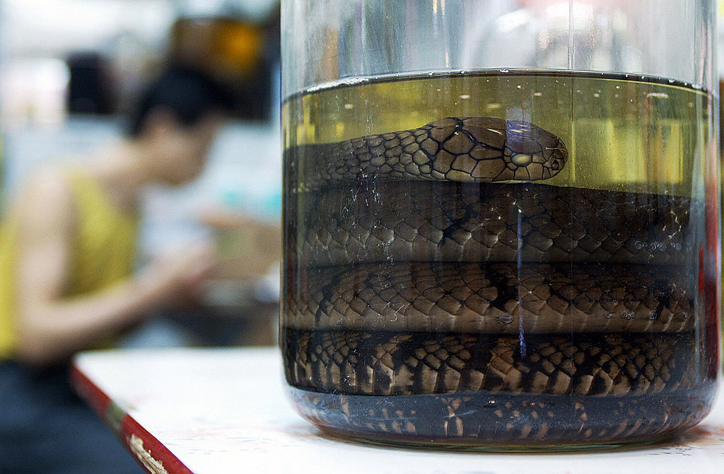 snake wine