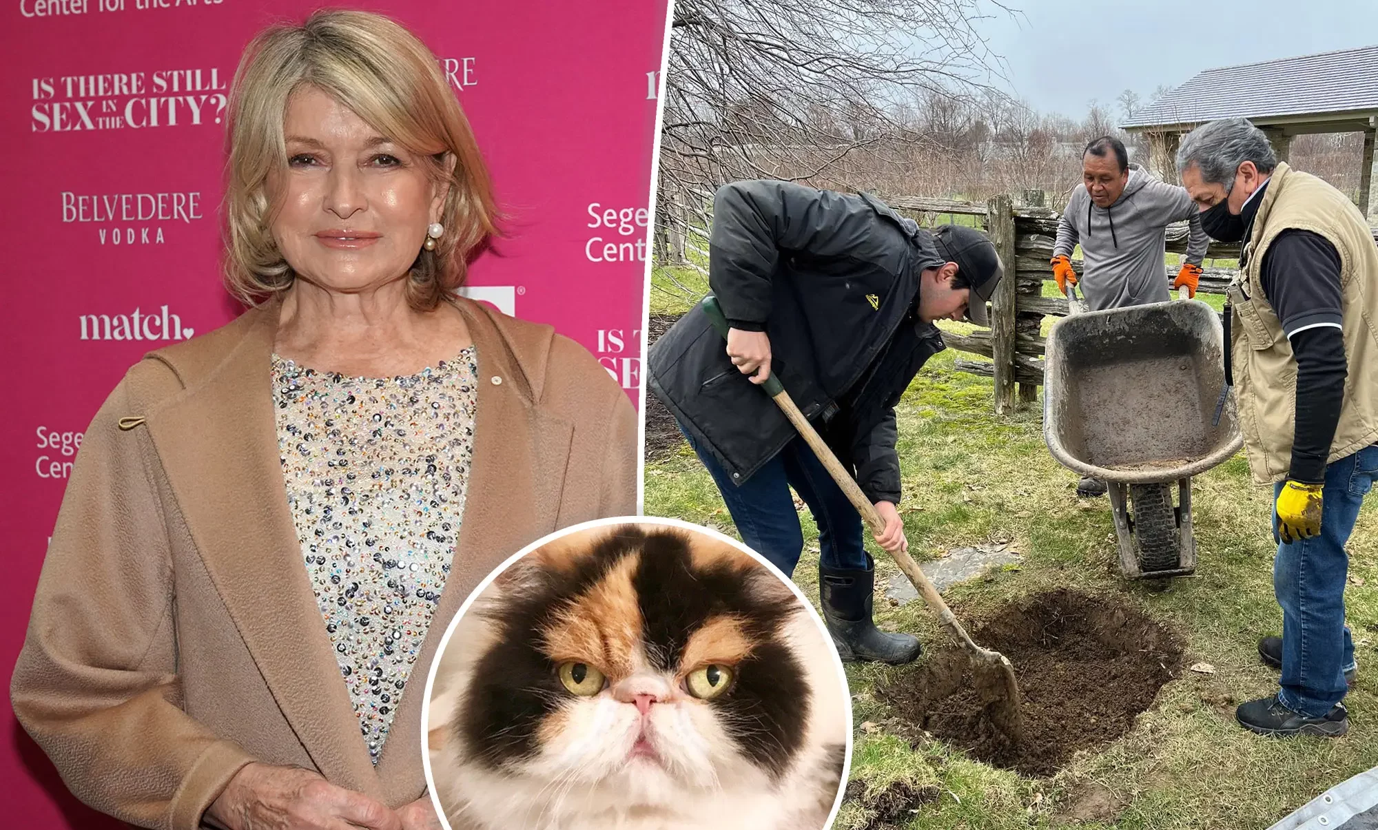 Martha Stewart Buries Her Cat After Her 4 Dogs Mistake Her For An Intruder & Kill Her