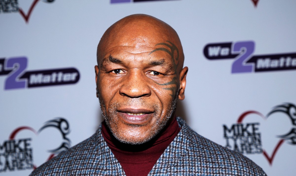 mike tyson homeless joe rogan