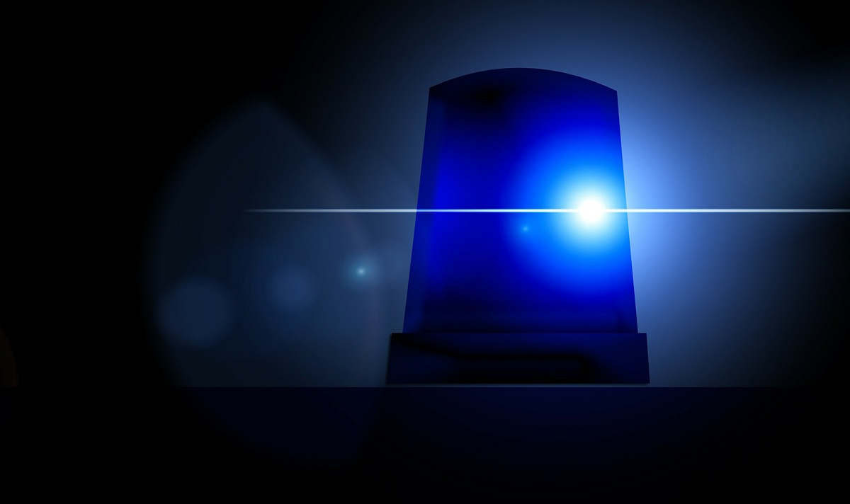 mom calls 911 multiple times after son brings girlfriend