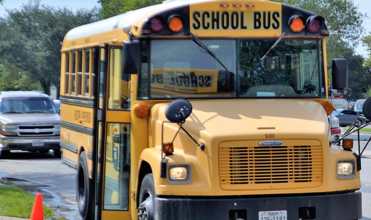 school bus driver caught on video hitting student