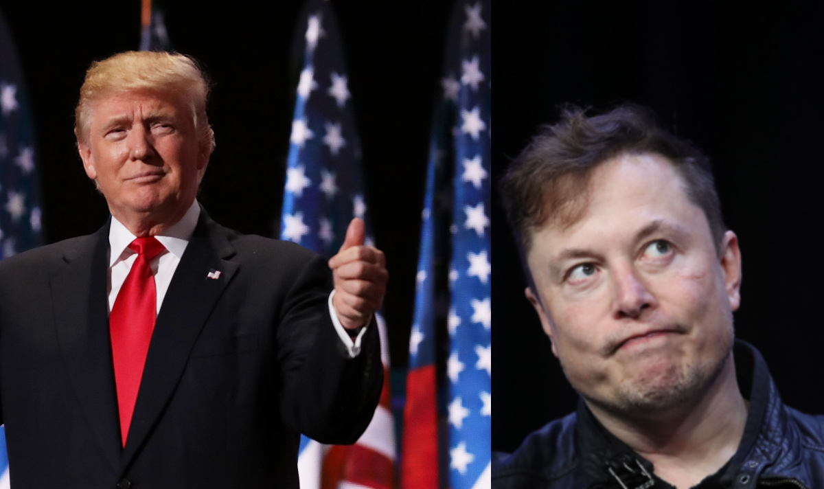 trump claims musk wont buy twitter