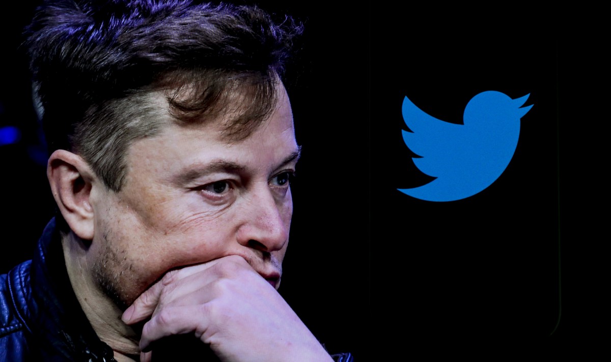 elon musk twitter poll ceo