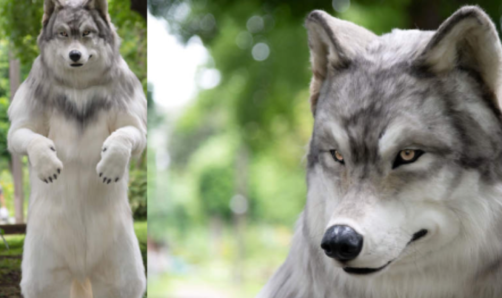 Man Spends $23,000 On Realistic Costume To Fulfill His Dream As A Wolf •  Hollywood Unlocked