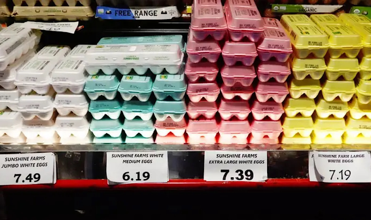 U.S. Customs & Border Protection Officials Say Egg Smuggling Is Up 108% As Egg Prices Soar
