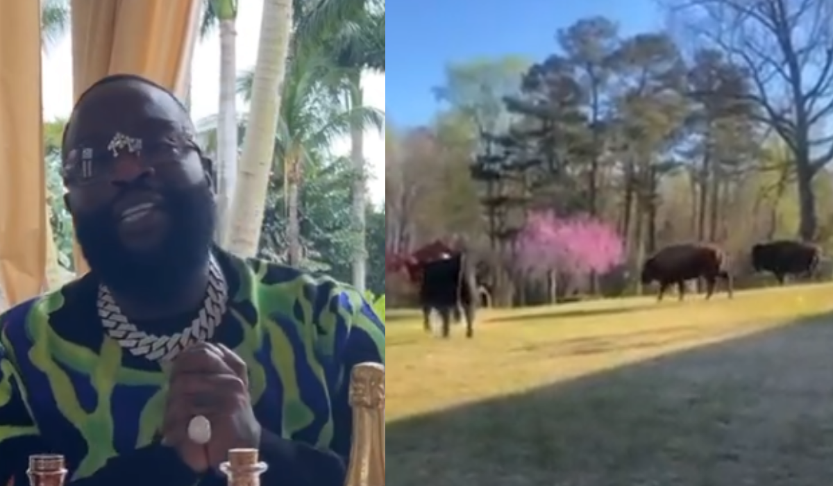 Rick Ross on Considering Himself a Farmer: 'Let's Feed the Cows