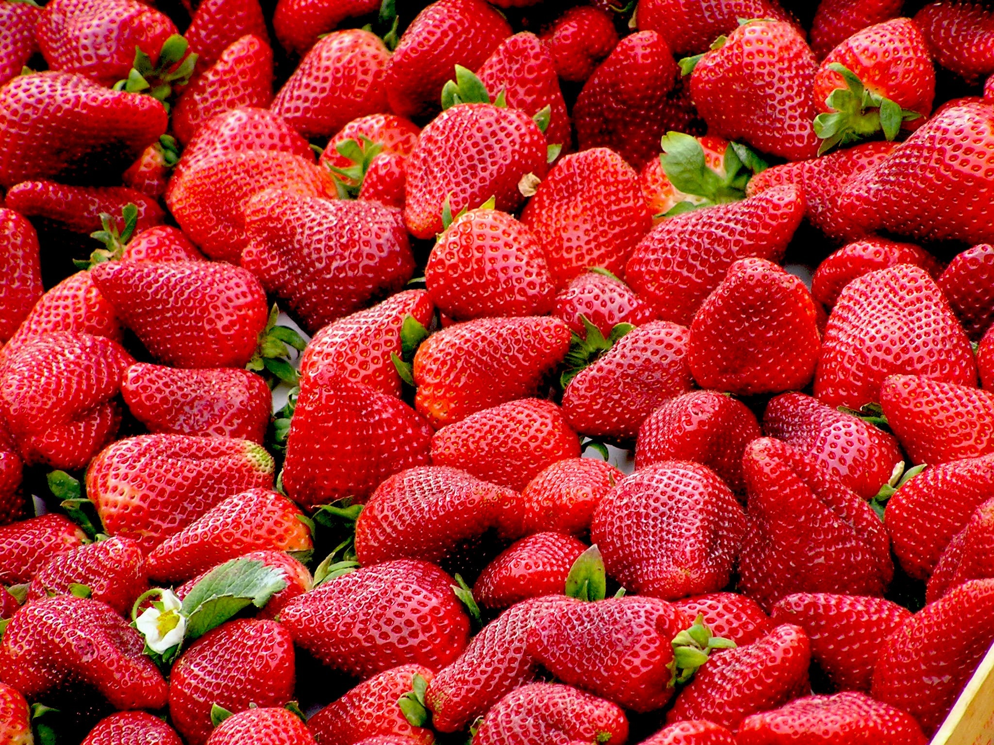 frozen strawberries recalled after hepatitis a outbreak