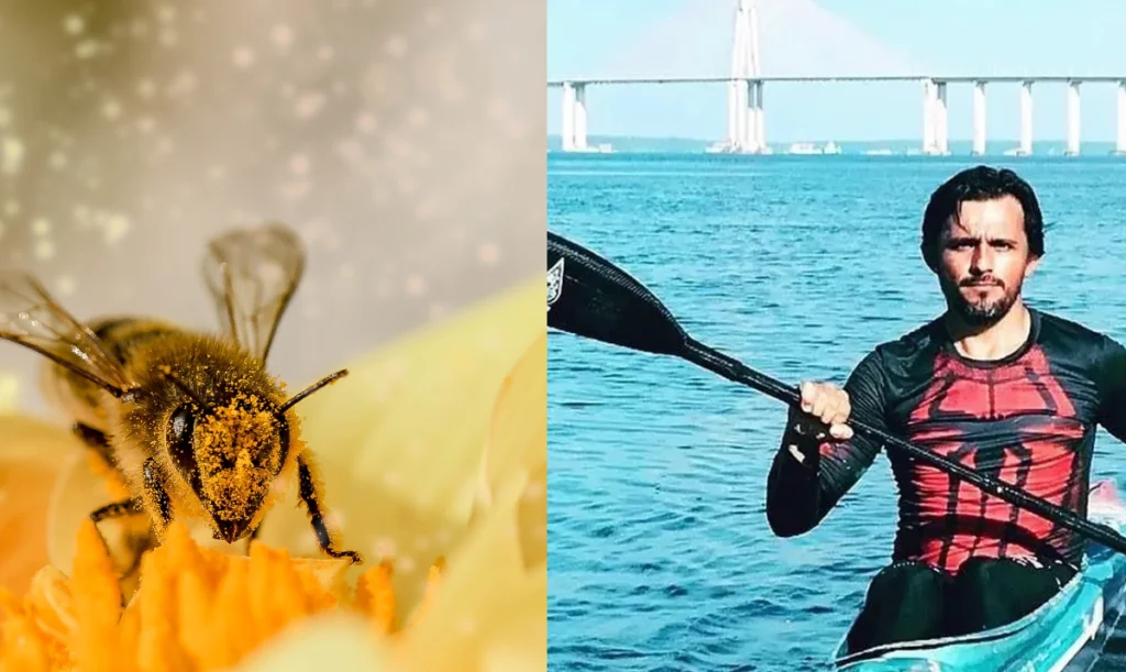 athlete dies after swallowing bee during cycling session