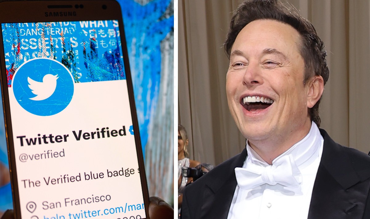 elon musk twitter verified