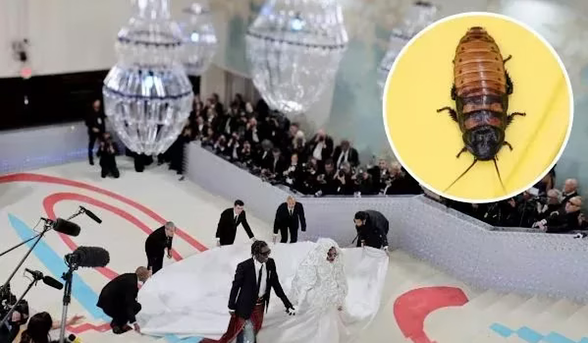Cockroach Crashes Carpet At The Met Gala 2023 And Nearly Steals The Show Before Getting Squashed