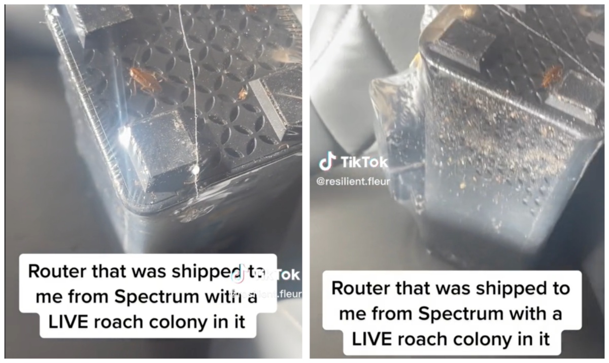 Woman says spectrum sent router infested with roaches