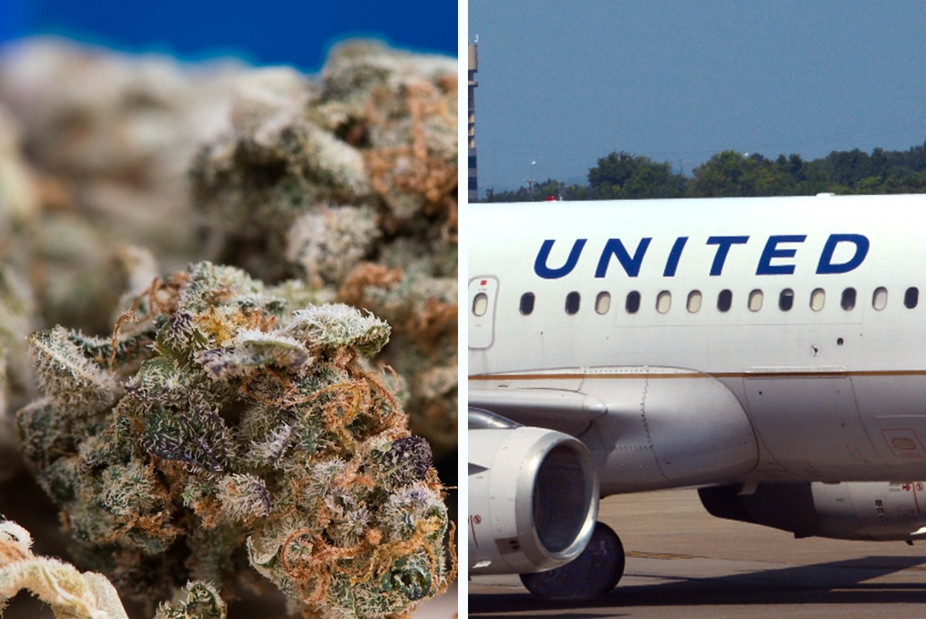 united weed airlines