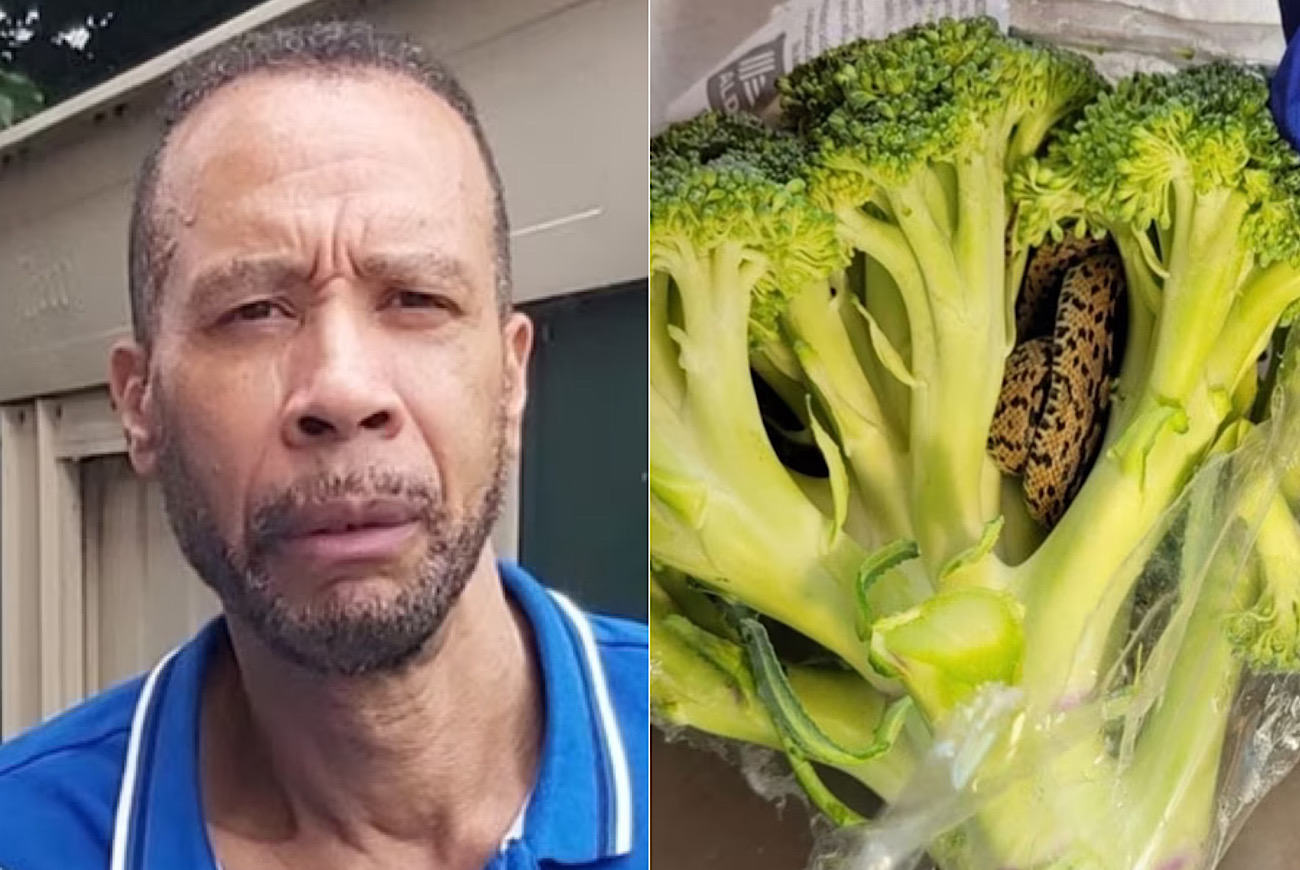 63-Year-Old Man Becomes Frightened After Finding Live Snake Slithering In Bag Of Broccoli From Aldi