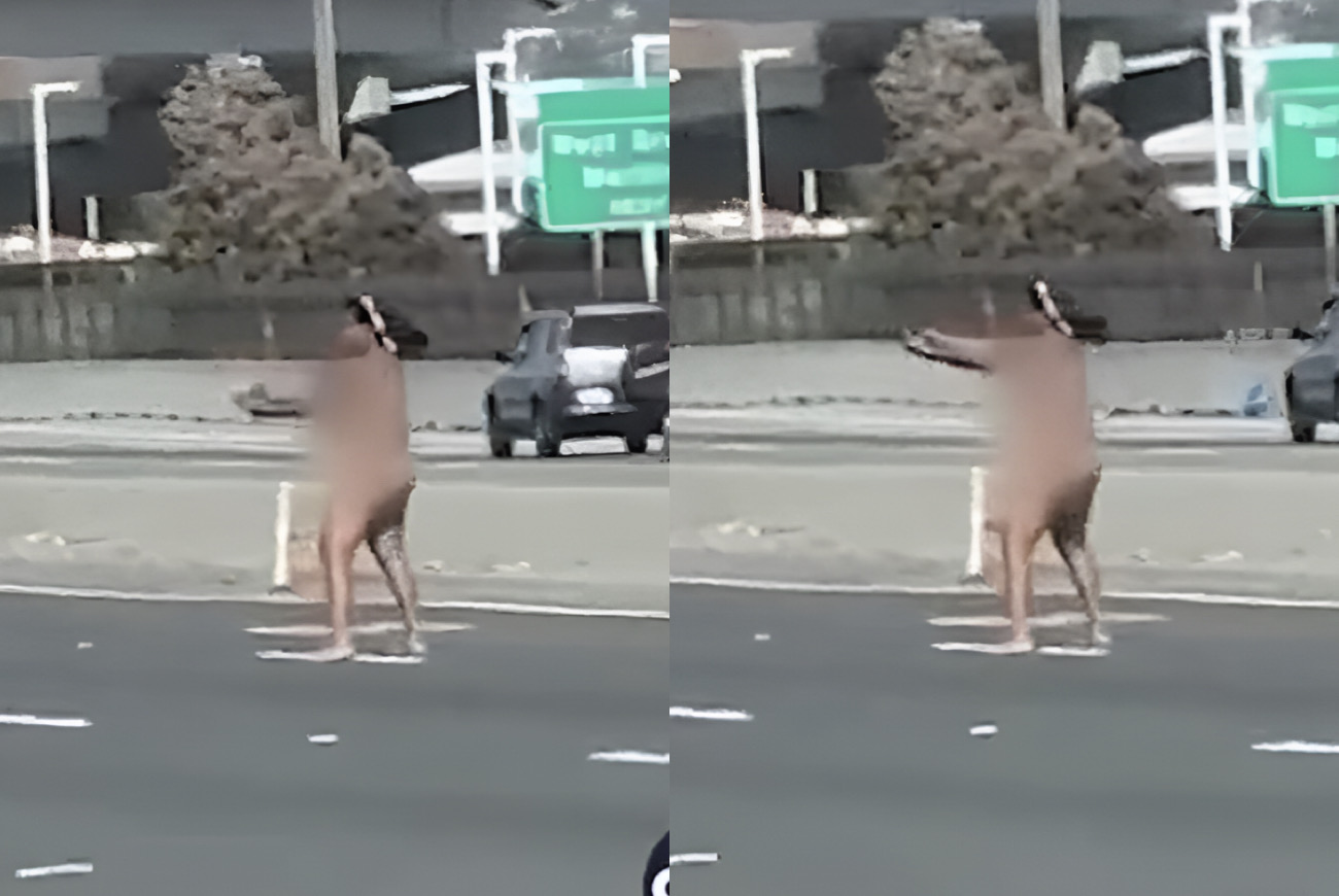 Naked Woman Shoots At Passing Cars On The Freeway