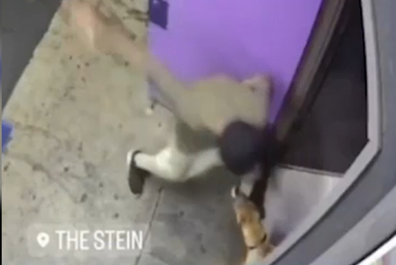 Man Leaves Dog With A Swollen Black Eye After Violently Punching The Dog In The Face