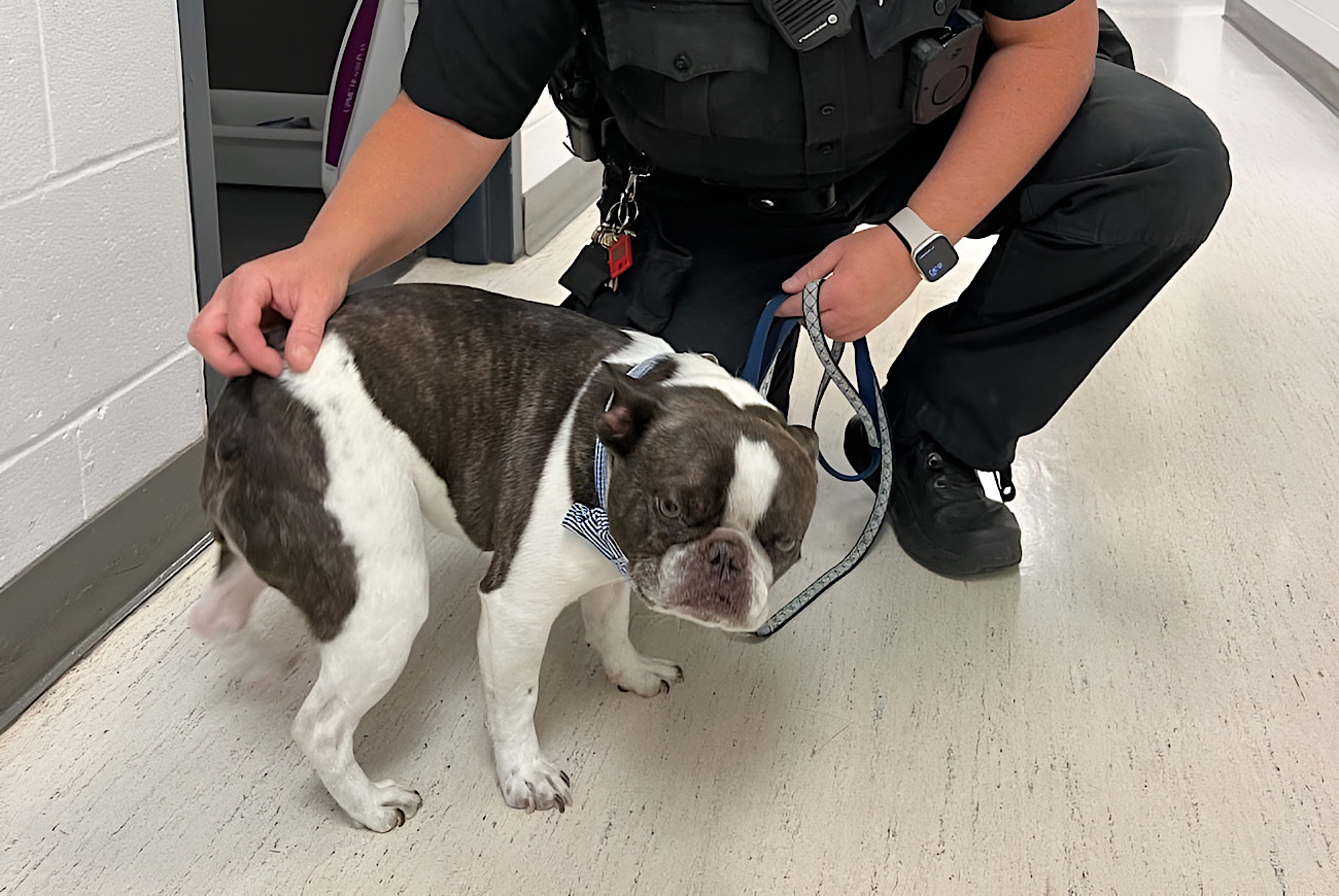 Pittsburgh Woman Leaves Her Dog At Airport Parking Lot After Being Told She Couldn't Fly Without Crate