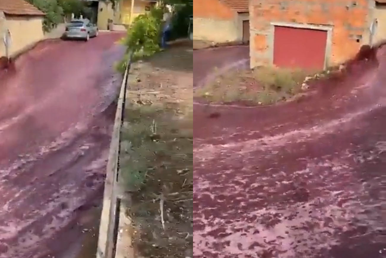 600,000 Gallons Of Red Wine Flows Through The Streets Of A Small Town In Portugal After Liter Tanks Burst