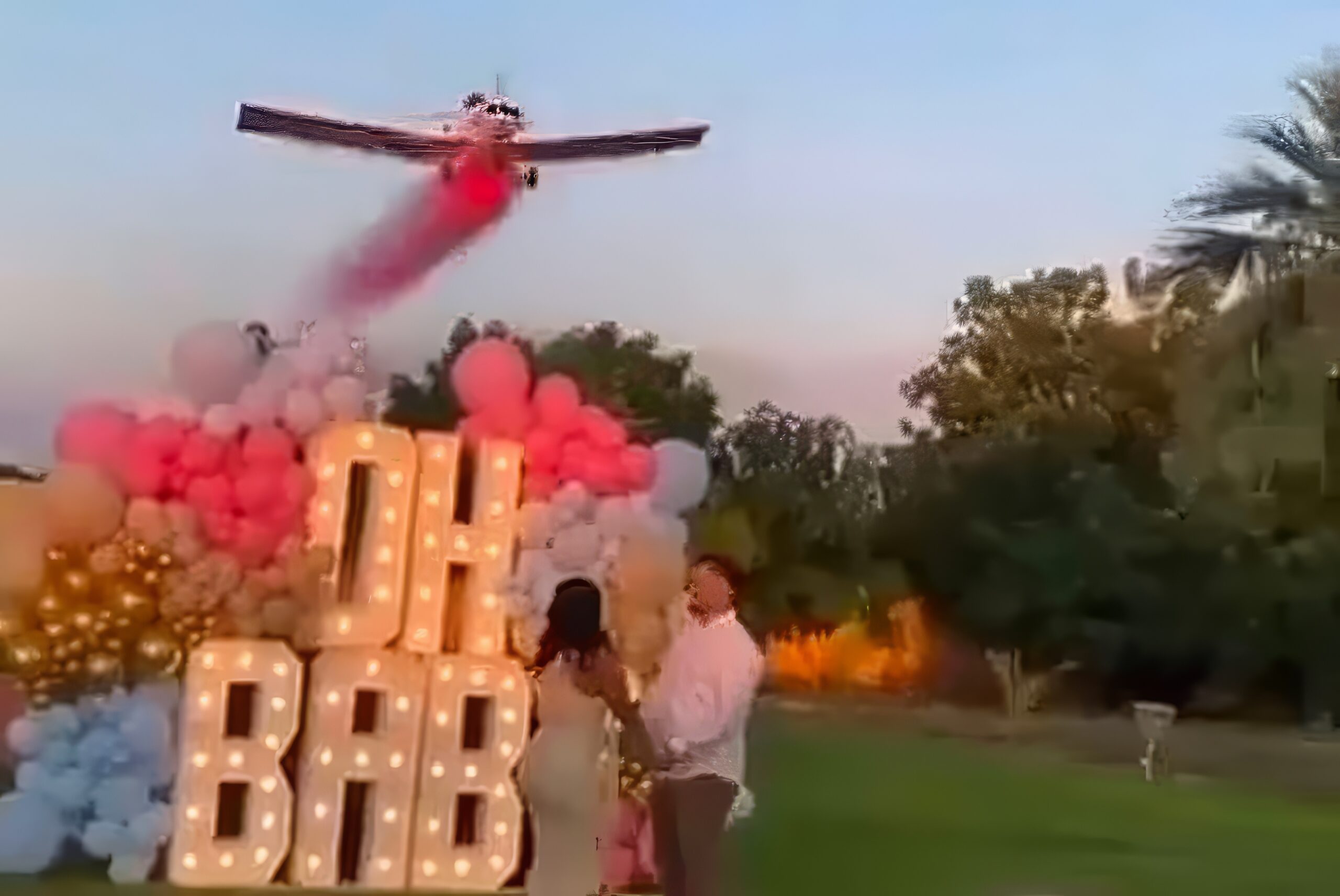 pilot crash gender reveal