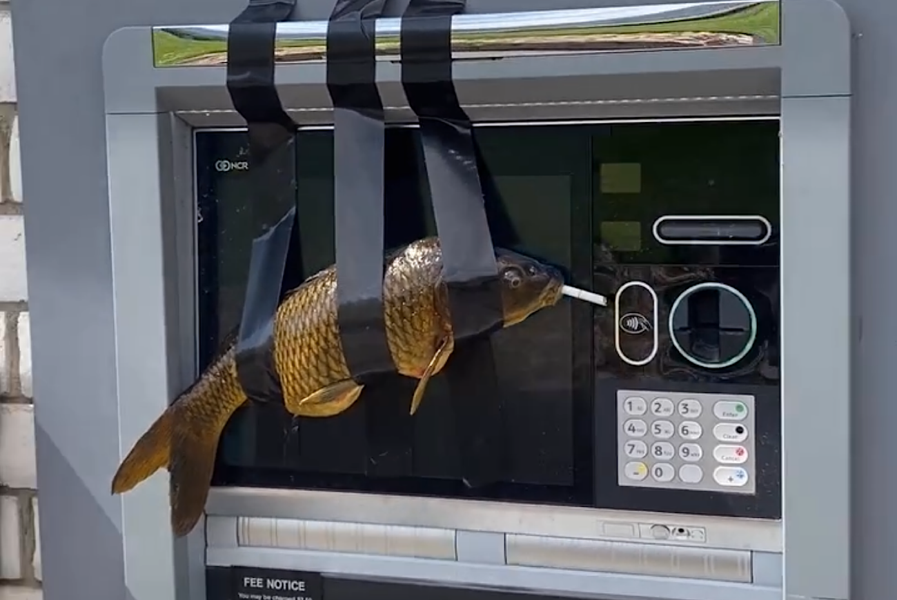 Fishy Business - Utah Teen Facing Charges Allegedly Taping Dozens Of Fish To ATM Machines