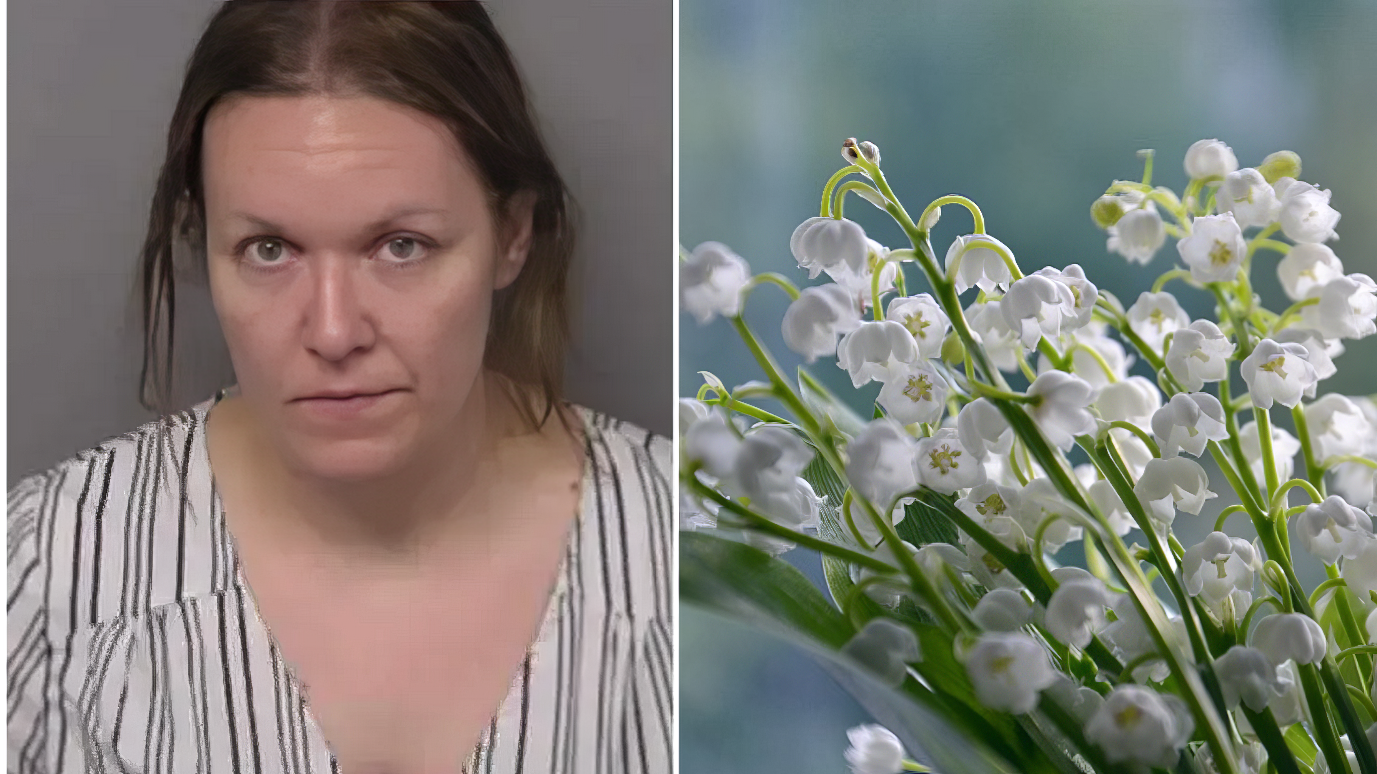 teacher used plant to poison husband