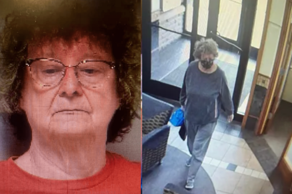 Ann Mayers seen robbing bank in security footage