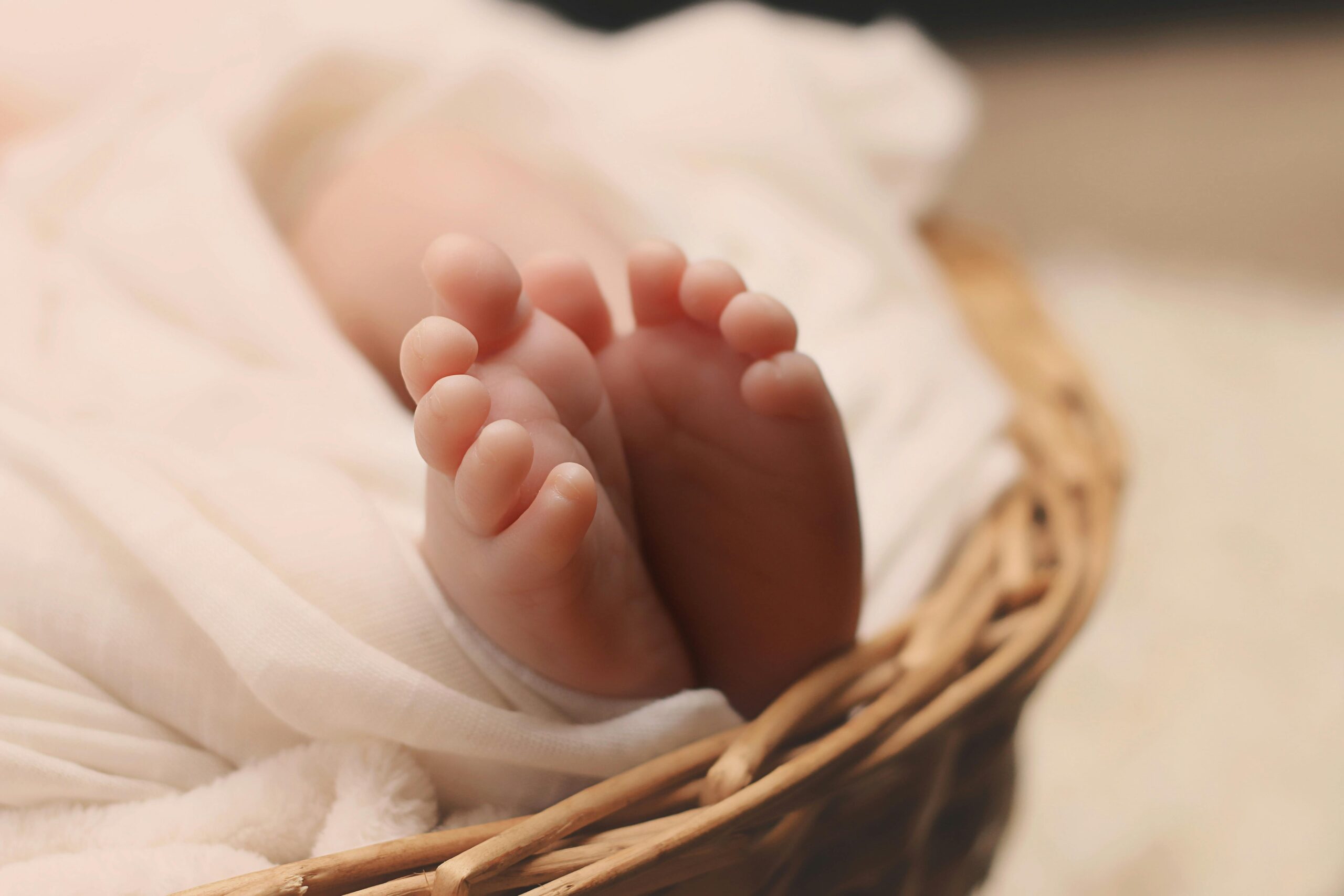 newborn baby in basket