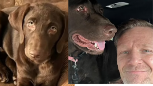A family is grieving the loss of their emotional support dog, Nala, a two-year-old Chocolate Labrador after a sheriff's deputy shot and killed her on Sunday.