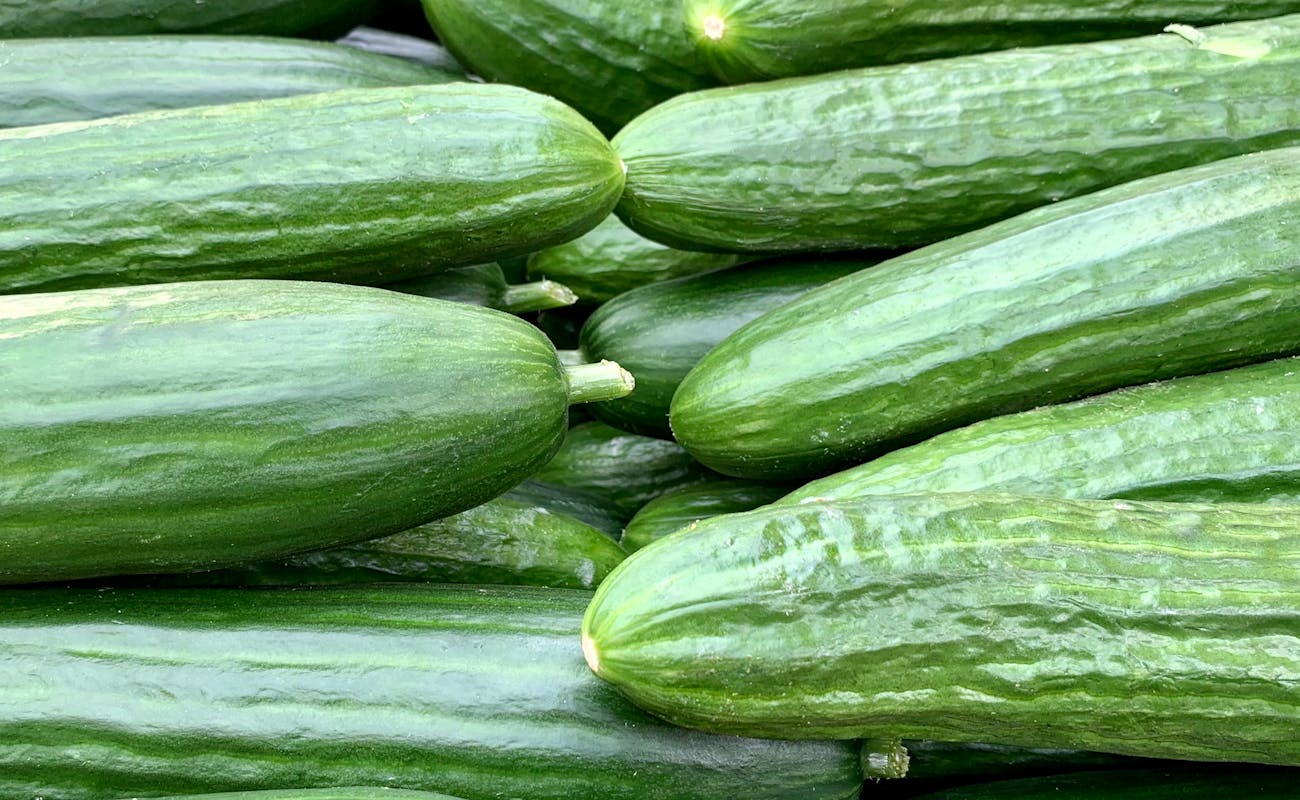 CDC Issues Warning Cucumber Recall Due to Widespread Illness