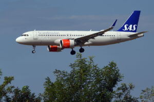 A Scandinavian Airlines flight made an emergency landing after a mouse jumped out of a meal