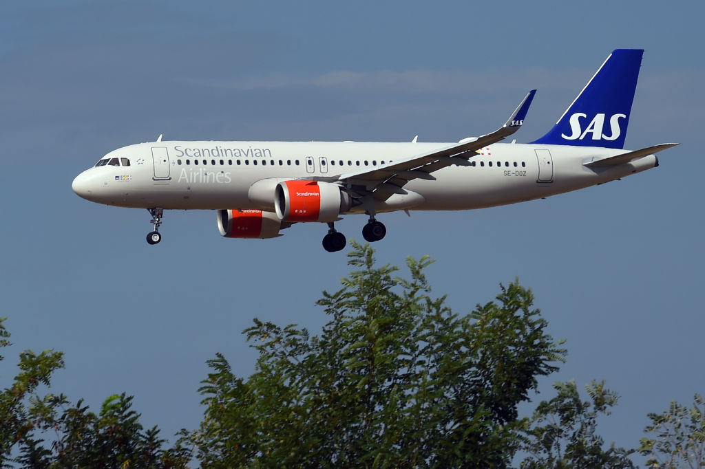 A Scandinavian Airlines flight made an emergency landing after a mouse jumped out of a meal