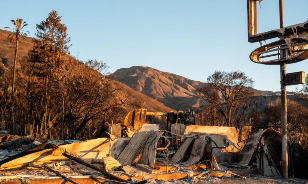 It’s been heartbreak after heartbreak for some Californians who are dealing with the tragic fires firsthand. However, one person experienced a little feeling