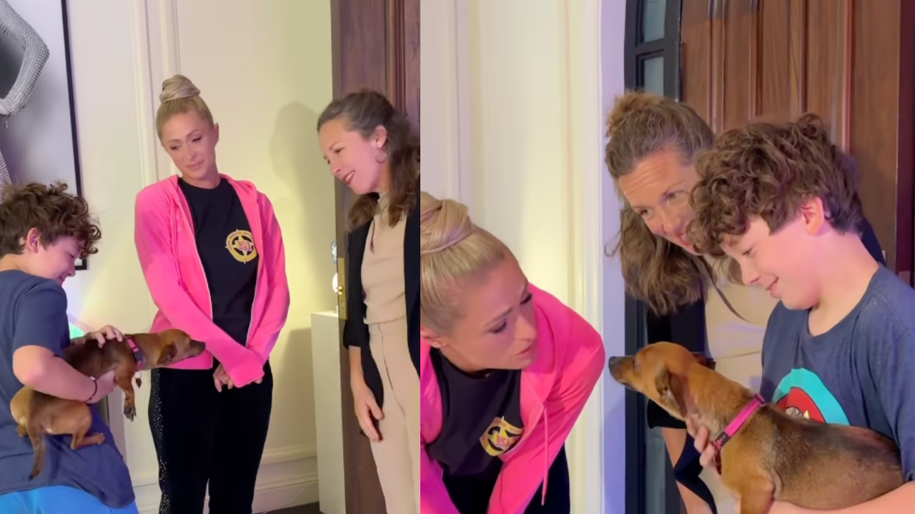 Paris Hilton Reunites Dog Displaced by Los Angeles Wildfires with Family