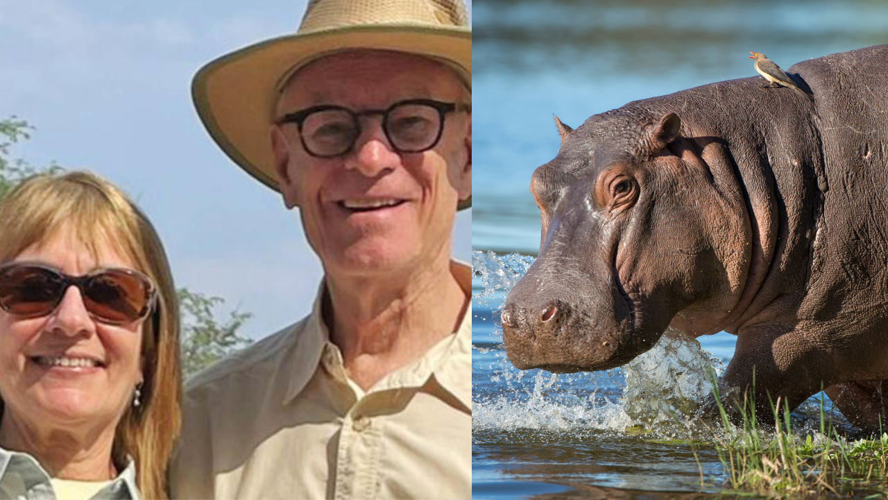 Man Files Lawsuit Against Safari for Wife Who Was Killed by Hippo