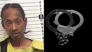 Florida Woman Arrested After Impersonating As An ICE Officer to Kidnap Ex’s Wife