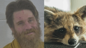 Kentucky Man Releases Raccoon Into Bar After Being Banned