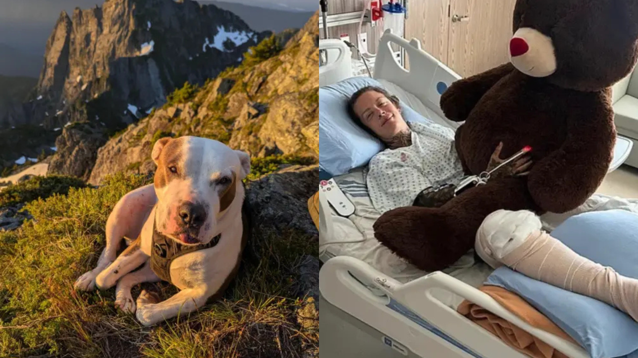 Woman And Dog Miraculously Survive 60-Foot Fall Onto Sharp Rocks In Canada