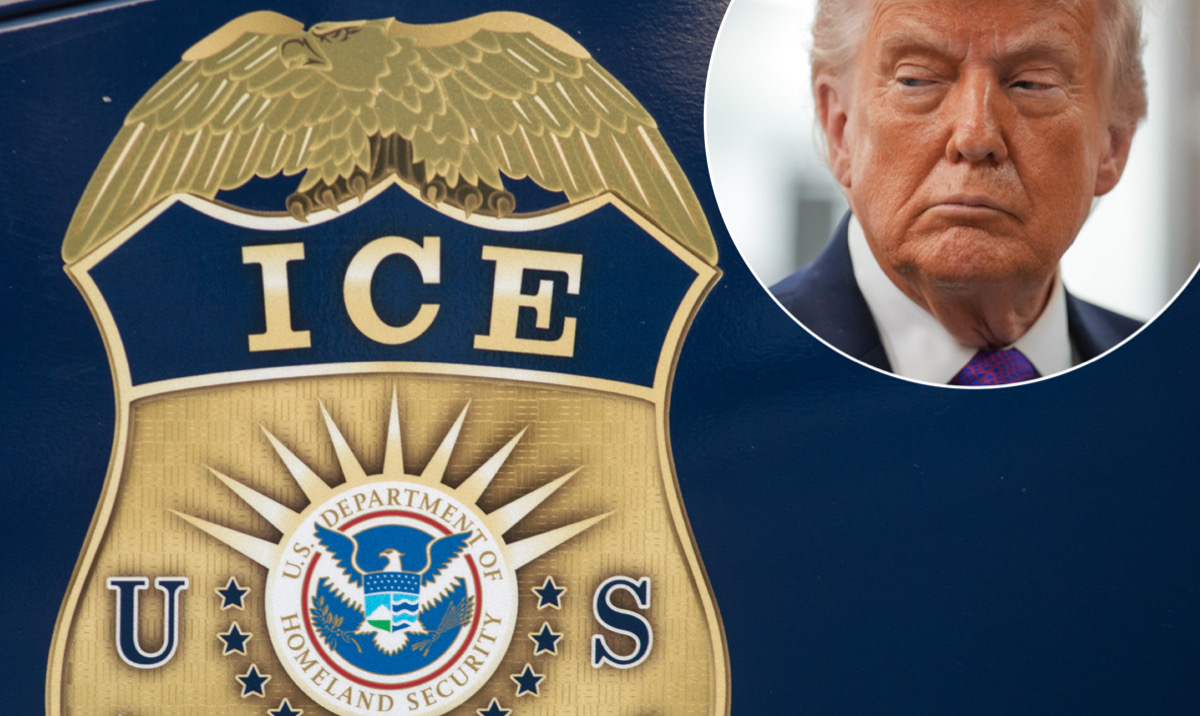 Starting Monday Trump Will Deploy ICE to Airports to “Help” TSA