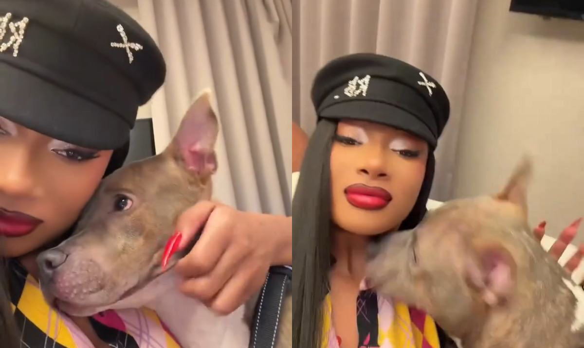 Aww! Megan Thee Stallion Introduces Her New Dog She Saved From a “Kill Shelter”
