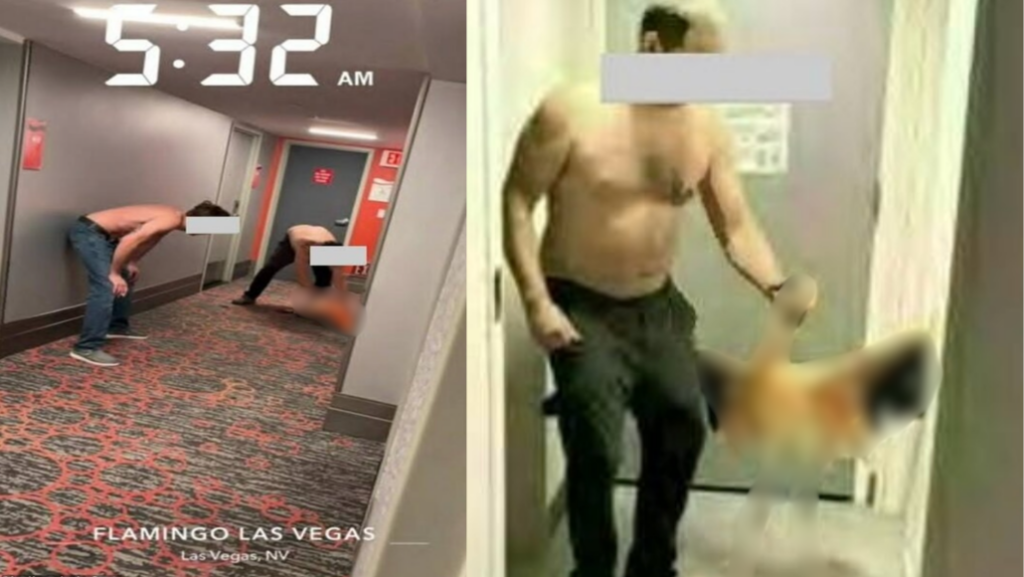 Tourist Accused of Stealing Flamingo From Flamingo Las Vegas Wildlife Habitat