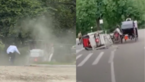 18-Year-Old Tourist From India Dies After Being Thrown From a Horse Carriage in Central Park