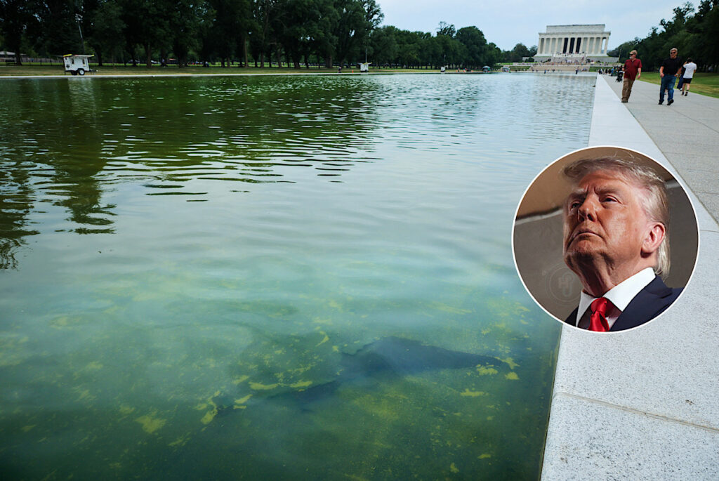 After Dropping $14M, Donald Trump Considers Draining Lincoln Memorial Reflecting Pool Again, Claims Since-Arrested Vandals Poured Chemicals Into Water Causing Paint To Peel