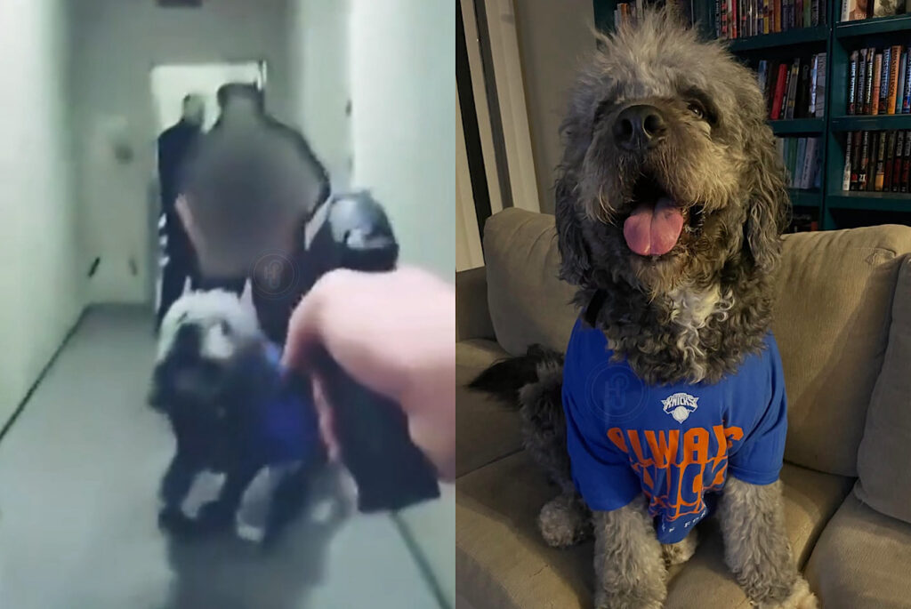 LAPD Releases Body Cam Footage Showing Moment Officer Fatally Shoots Woman’s Dog During New York Knicks Celebration