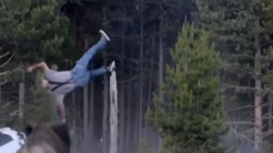 Man Recalls Being Tossed Into the Air by Bison While Protecting Grandson at Yellowstone National Park