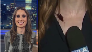 Video Shows Cockroach Crawling Up KTLA Reporter’s Neck During Live Broadcast